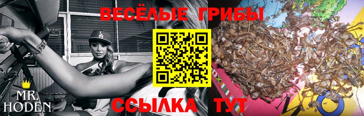 Псилоцибиновые грибы MAGIC MUSHROOMS Костомукша
