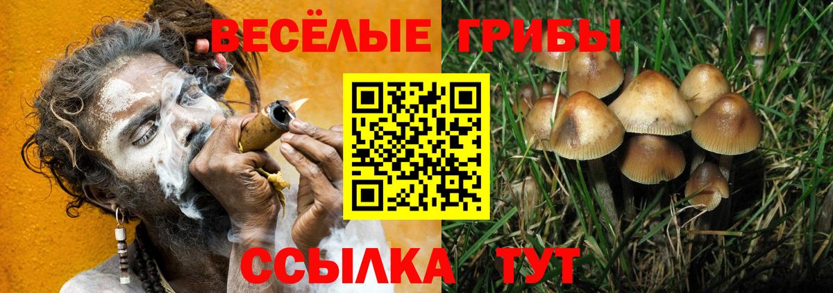 Костомукша  Псилоцибиновые грибы Psilocybine cubensis  Вход с VPN 